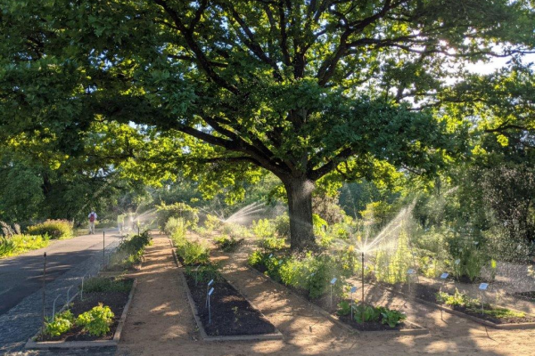 Latvijas Universitātes Botāniskais Dārzs