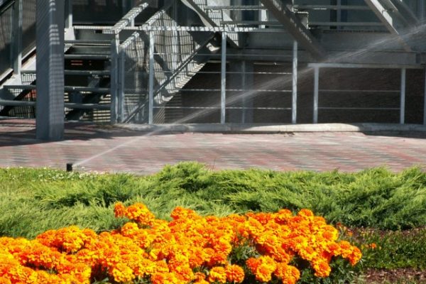 Tirdzniecības centrs “Mols”