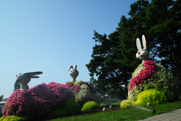 Citi Ventspils  pilsētvides objekti